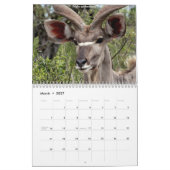 Zuid-Afrikaanse dieren Kalender (Mar 2027)