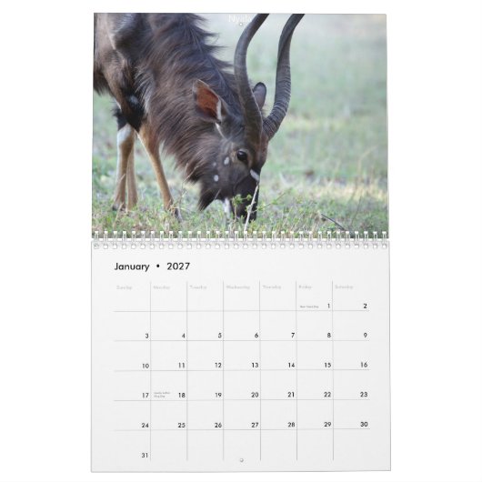 Zuid-Afrikaanse dieren Kalender (Jan 2027)