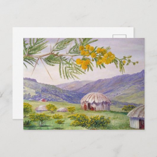 Zuid-Afrikaanse Doornboom, Marianne North Artist Briefkaart (Voorkant / Achterkant)