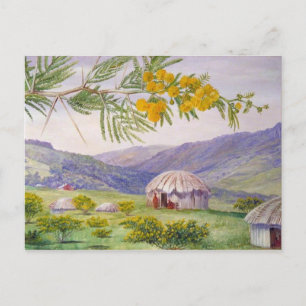 Zuid-Afrikaanse Doornboom, Marianne North Artist Briefkaart