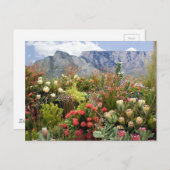Zuid-Afrikaanse florale weergave van wilde bloemen Briefkaart (Voorkant / Achterkant)