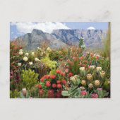Zuid-Afrikaanse florale weergave van wilde bloemen Briefkaart (Voorkant)