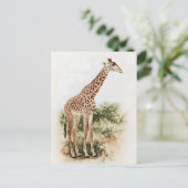  Zuid-Afrikaanse Giraffe Meadow Briefkaart (Staand voorkant)
