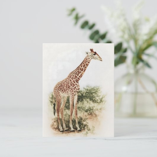  Zuid-Afrikaanse Giraffe Meadow Briefkaart (Staand voorkant)