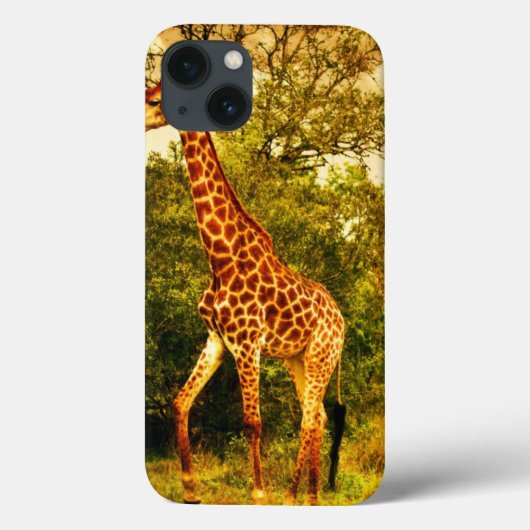 Zuid-Afrikaanse giraffen Case-Mate iPhone Case (Achterkant)