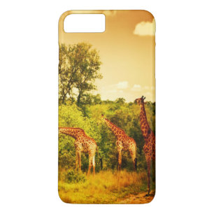 Zuid-Afrikaanse giraffen Case-Mate iPhone Case
