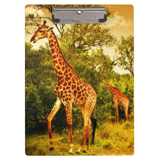 Zuid-Afrikaanse giraffen Klembord (Voorkant)