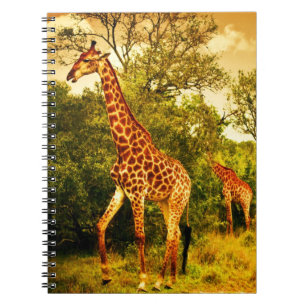 Zuid-Afrikaanse giraffen Notitieboek