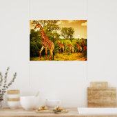 Zuid-Afrikaanse giraffen Poster (Keuken)