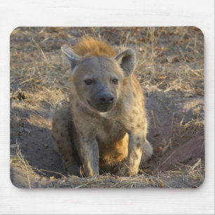 Zuid-Afrikaanse Hyena Muismat