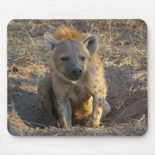 Zuid-Afrikaanse Hyena Muismat (Voorkant)