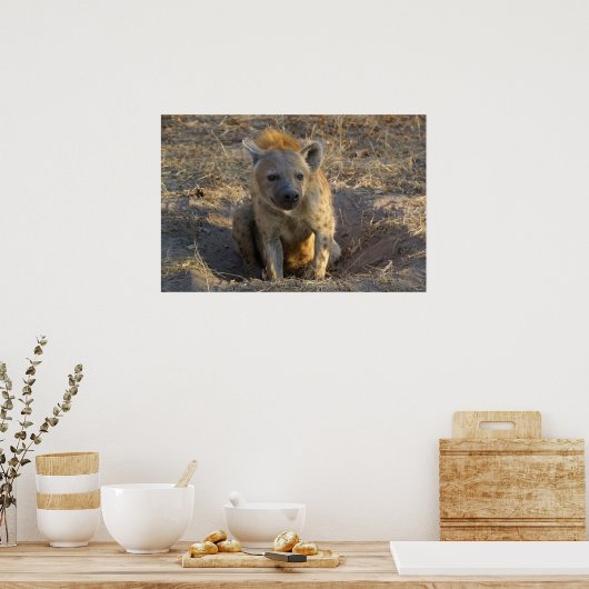 Zuid-Afrikaanse Hyena Poster (Keuken)
