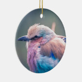 Zuid-Afrikaanse Lila-Breasted Roller Keramisch Ornament (Rechts)