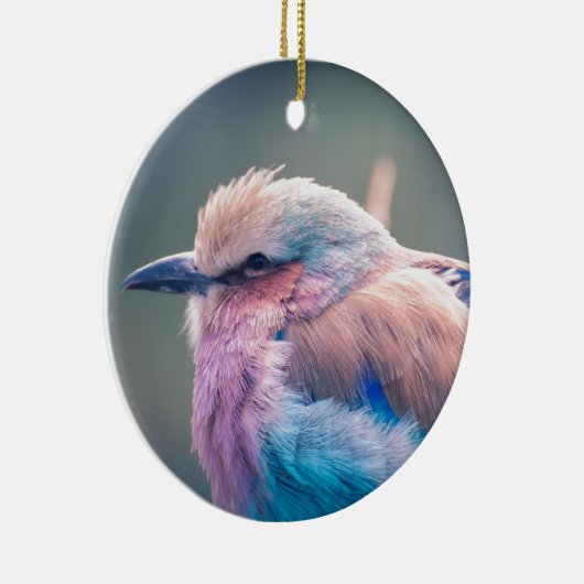 Zuid-Afrikaanse Lila-Breasted Roller Keramisch Ornament (Rechts)