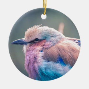Zuid-Afrikaanse Lila-Breasted Roller Keramisch Ornament