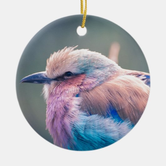 Zuid-Afrikaanse Lila-Breasted Roller Keramisch Ornament (Voorkant)