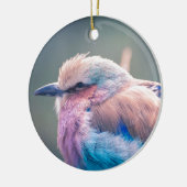 Zuid-Afrikaanse Lila-Breasted Roller Keramisch Ornament (Links)