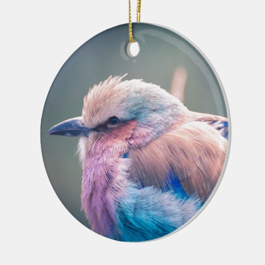 Zuid-Afrikaanse Lila-Breasted Roller Keramisch Ornament (Links)