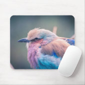 Zuid-Afrikaanse Lila-Breasted Roller Muismat (Met muis)
