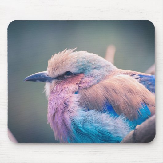 Zuid-Afrikaanse Lila-Breasted Roller Muismat (Voorkant)