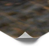 Zuid-Afrikaanse Lion Poster (Hoek)