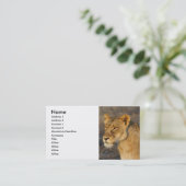 Zuid-Afrikaanse Lion Visitekaartje (Staand voorkant)