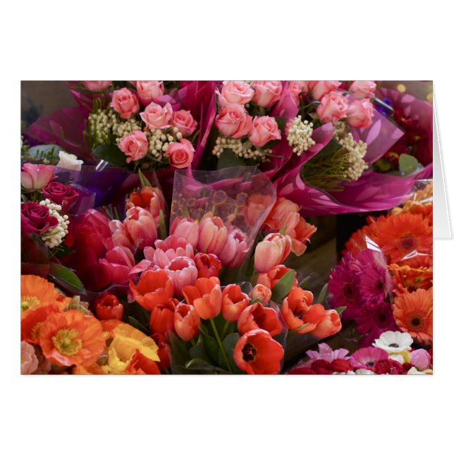 Zuid-Afrikaanse markt voor ventilatoren (Voorkant Horizontaal)