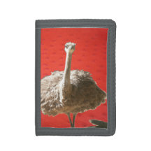 Zuid-Afrikaanse Ostrich Wallet
