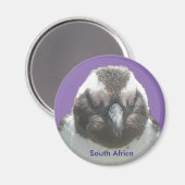 Zuid-Afrikaanse pinguïn gezicht  magneet (Voorkant / Achterkant)