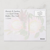 Zuid-Afrikaanse Proteas Dank je Briefkaart (Achterkant)