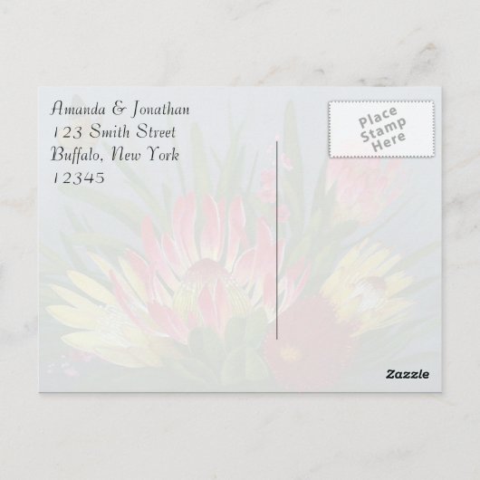 Zuid-Afrikaanse Proteas Dank je Briefkaart (Achterkant)