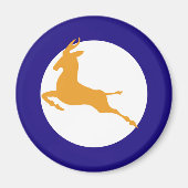 Zuid-Afrikaanse Roundel Magneet (Voorkant)