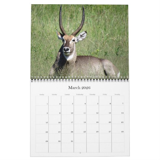 Zuid-Afrikaanse safari 2026 Kalender (Mar 2026)