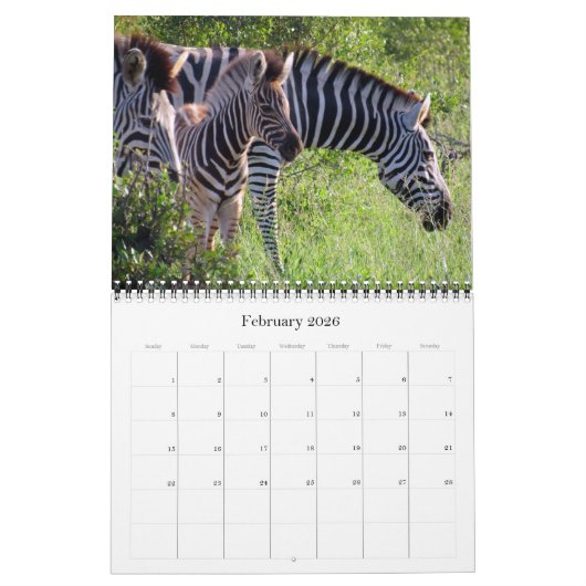Zuid-Afrikaanse safari 2026 Kalender (Feb 2026)