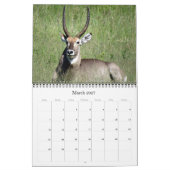 Zuid-Afrikaanse safari 2027 Kalender (Mar 2027)