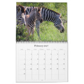 Zuid-Afrikaanse safari 2027 Kalender (Feb 2027)