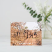 Zuid-Afrikaanse Safari Briefkaart (Staand voorkant)
