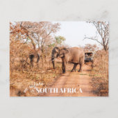 Zuid-Afrikaanse Safari Briefkaart (Voorkant)