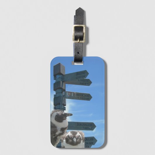 Zuid-Afrikaanse Signpost + Bagagelabel pinguïns (Voorkant (verticaal))