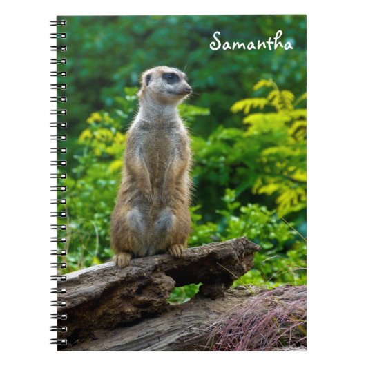 Zuid-Afrikaanse stokstaartje spiraal notebook Notitieboek (Voorkant)
