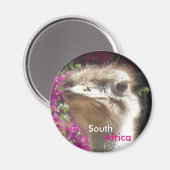 Zuid-Afrikaanse struisvogel  magneet (Voorkant / Achterkant)