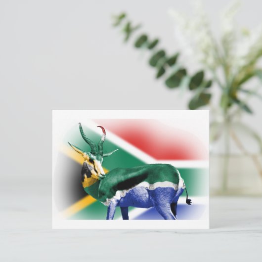 Zuid-Afrikaanse vlag van Springbock Briefkaart (Staand voorkant)