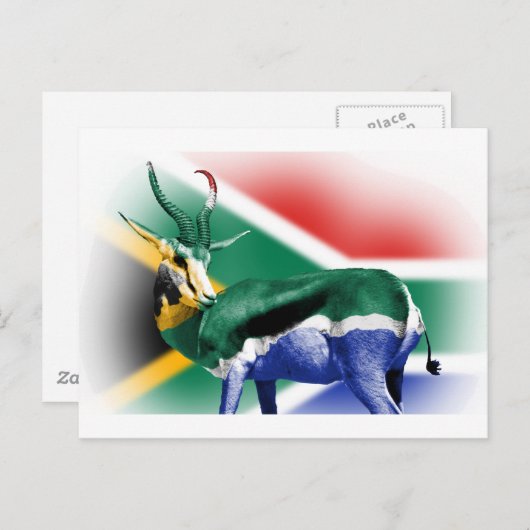 Zuid-Afrikaanse vlag van Springbock Briefkaart (Voorkant / Achterkant)
