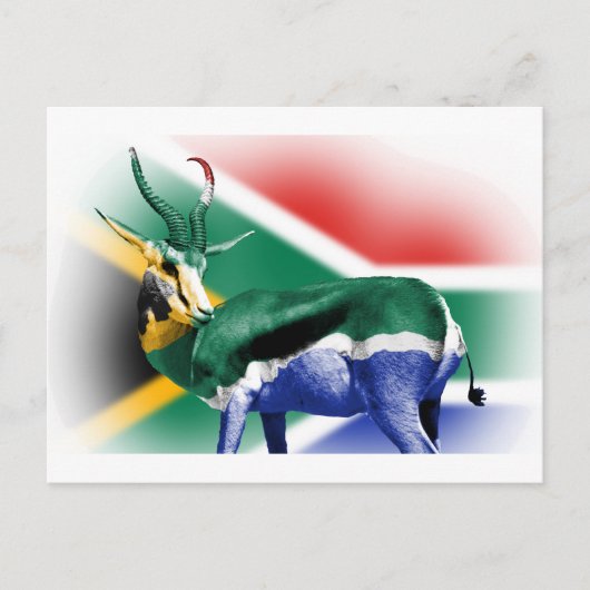 Zuid-Afrikaanse vlag van Springbock Briefkaart (Voorkant)