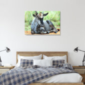 Zuid-Afrikaanse Wildebeest Canvas Afdruk (Insitu (Slaapkamer))