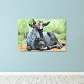 Zuid-Afrikaanse Wildebeest Canvas Afdruk (Insitu (Houten vloer))