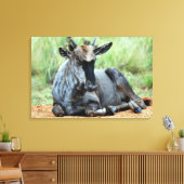 Zuid-Afrikaanse Wildebeest Canvas Afdruk (Insitu (Woonkamer))