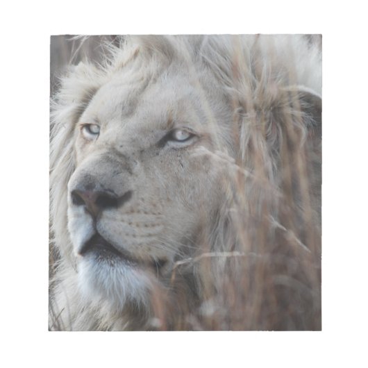 Zuid-Afrikaanse witte lion dicht Notitieblok (Voorkant)