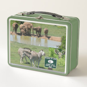 Zuid-Afrikaanse Zebras en Lunchbox
