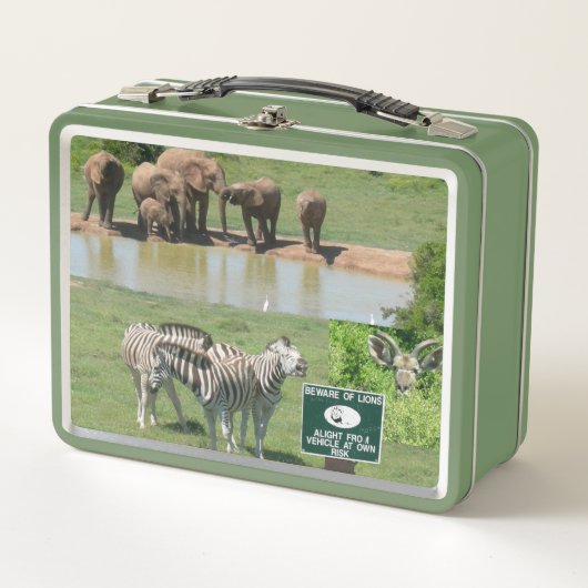 Zuid-Afrikaanse Zebras en Lunchbox (Voorkant)